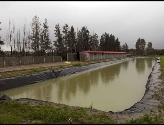 Are you Looking for the Best Pond Lining Sheets in Delhi 2025