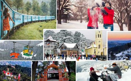 Shimla Manali Tour Package from Delhi: Trek, Explore, Rejuvenate