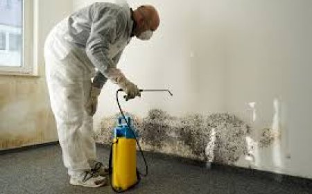Smoke Damage Cleanup A Simple Guide to Restoring Your Home