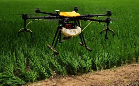 How Spraying Drones Are Revolutionizing Modern Agriculture