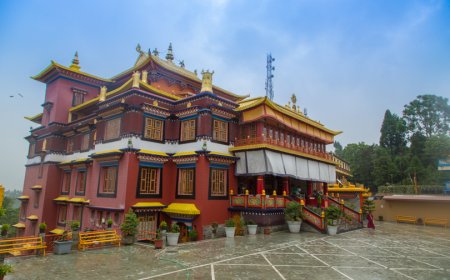 Breathtaking Views and Tea Gardens: Why Darjeeling is a Must-Visit