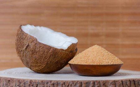 Project Report on Requirements and Cost for Setting up a Coconut Sugar Manufacturing Plant