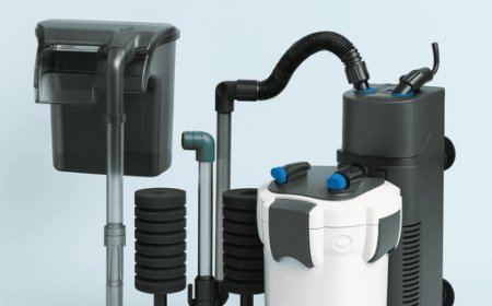 Common Fish Tank Filter Problems and How to Fix Them