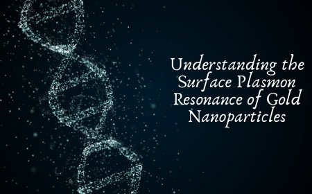Understanding the Surface Plasmon Resonance of Gold Nanoparticles