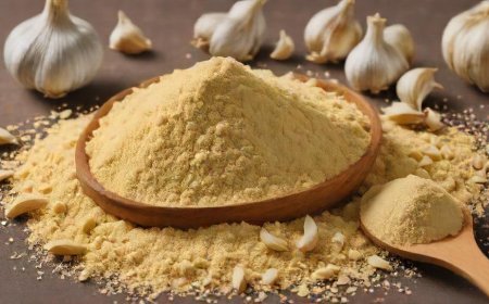 Prefeasibility Report on a Garlic Powder Manufacturing Plant Project Setup Cost and Expanses