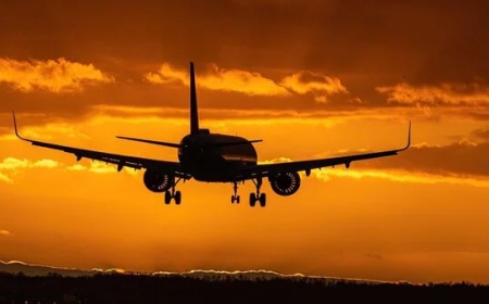 turkish airlines new york city office