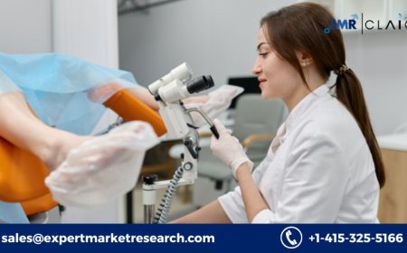 Gynecological Devices Market: Size, Trends, Growth Forecast, and Competitive Landscape (2025–2034)