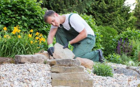 The Value and Importance of Professional Landscapers Officer in Property Development