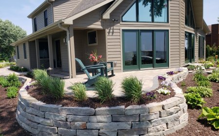 Top Softscaping Trends for Residential Yards in 2025
