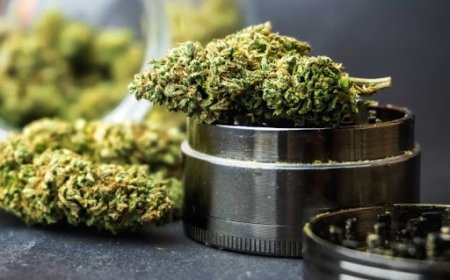 Living In DC : Washington DC Dispensary As Neighborhood