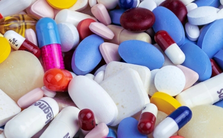 Everything You Need to Know About Buying Kamagra Wholesale