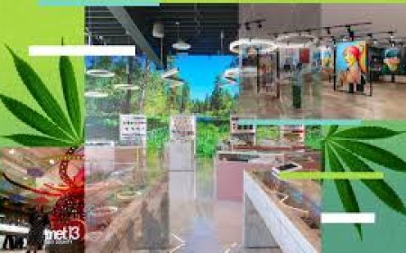 Top Weed Dispensary in LA Arts District