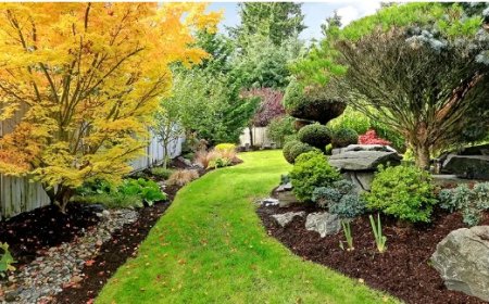 Landscaping in Manassas, VA: Creating Outdoor Spaces That Feel Like Home