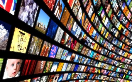 Orca IPTV : La Meilleure Solution de Streaming en Ligne pour une Expérience TV Inégalée