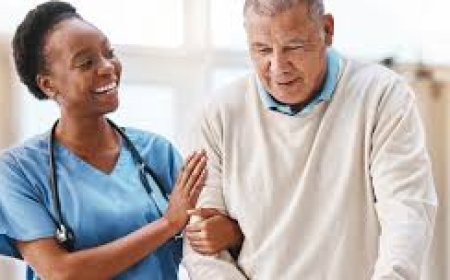 Empowering Nursing Excellence Through Capella FlexPath & Key Assessments