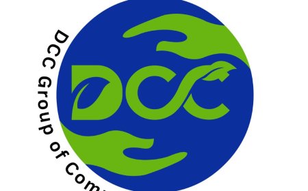 Why Fresh Waste Services Are Essential for Clean Urban Living - DCC Group