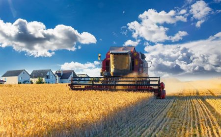 Agricultural Diesel Supplier: Powering UK Farms Efficiently