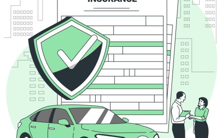New to Florida? Here’s What You Need to Know About Getting Auto Insurance