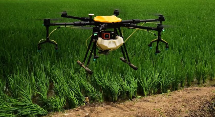 How Spraying Drones Are Revolutionizing Modern Agriculture