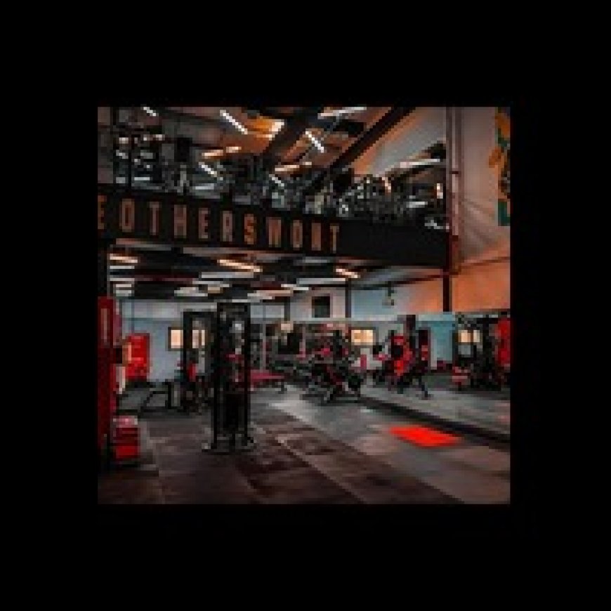 Easy Life Gym Dubai: The Smart Choice for Results-Driven Training