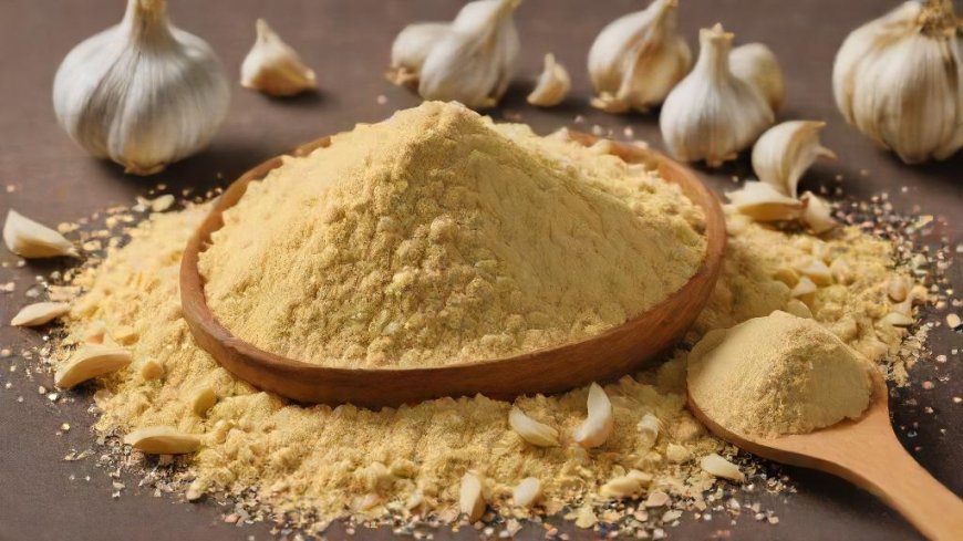 Prefeasibility Report on a Garlic Powder Manufacturing Plant Project Setup Cost and Expanses