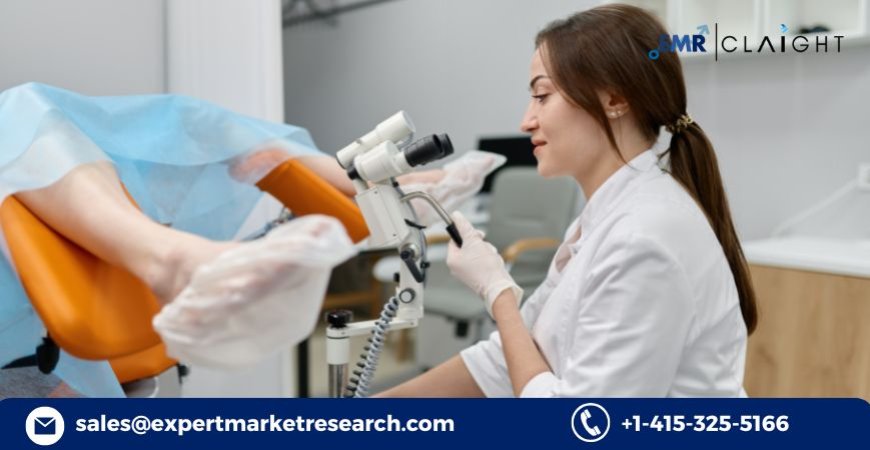 Gynecological Devices Market: Size, Trends, Growth Forecast, and Competitive Landscape (2025–2034)