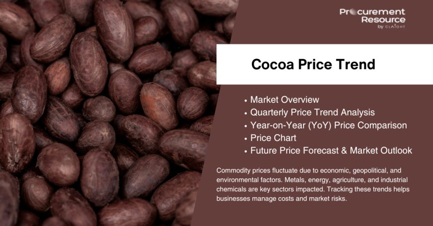 Latest Comprehensive Cocoa Production Cost Report by Procurement Resource