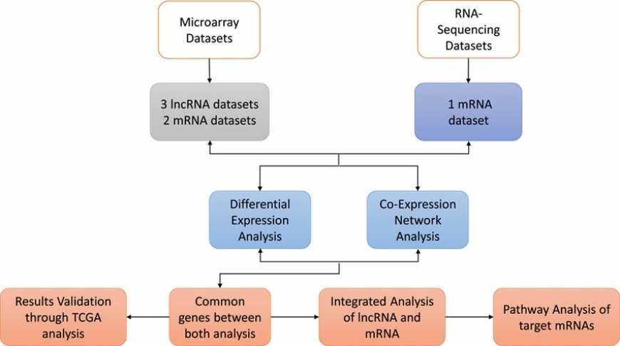 A Comprehensive Review of RNA Sequencing Databases