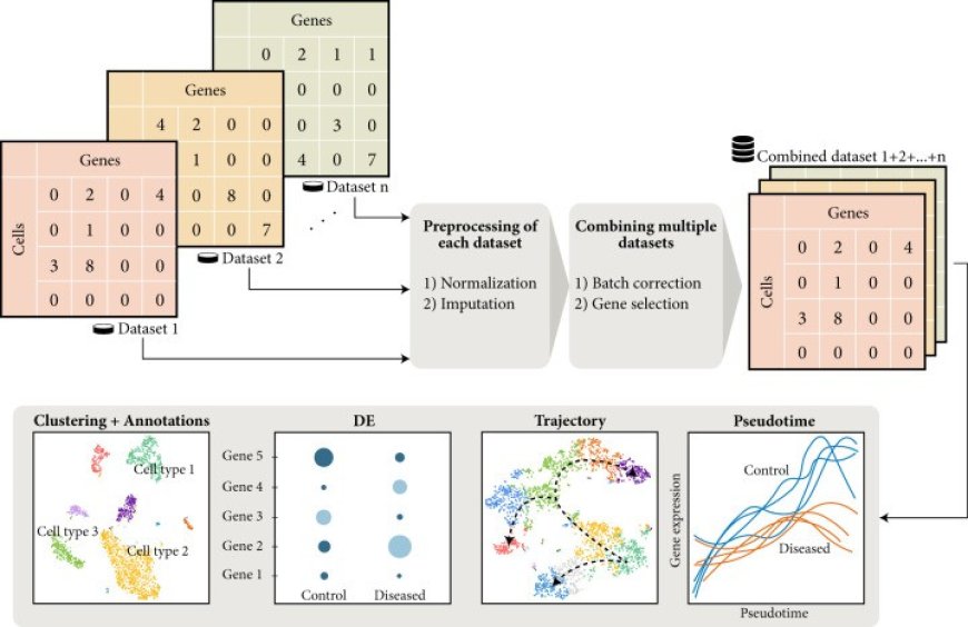 Introduction, Key Technologies and Challenges of Single-Cell Genomics