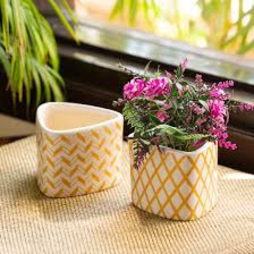 Why You Should Choose Ceramic Plant Pots for Your Home and Garden