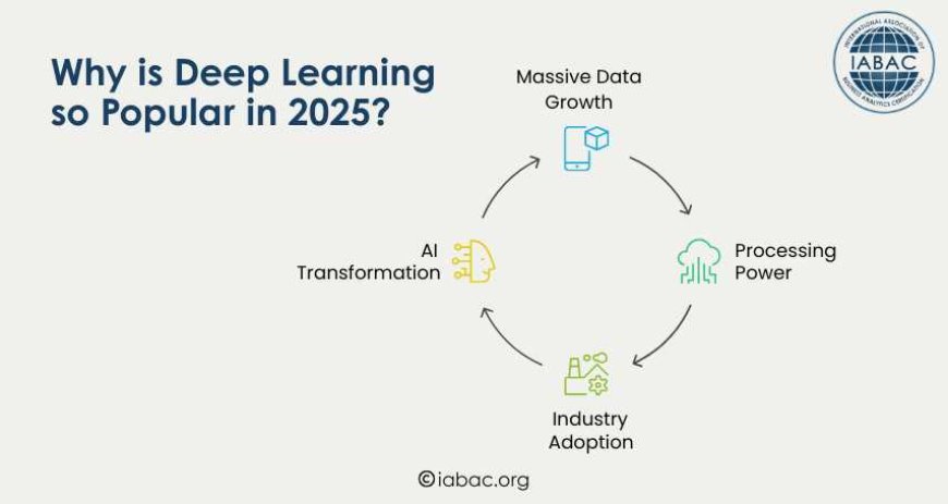 Why is Deep Learning  so Popular in 2025