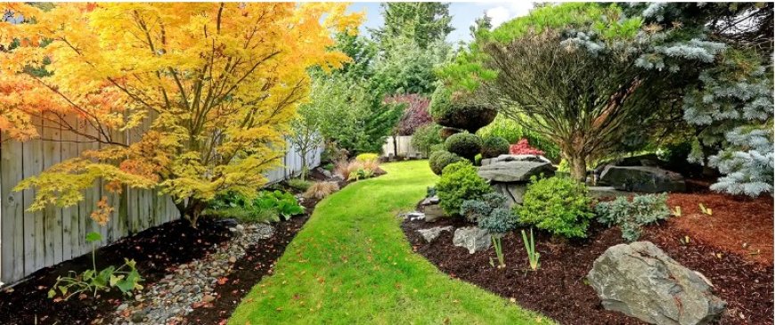 Landscaping in Manassas, VA: Creating Outdoor Spaces That Feel Like Home