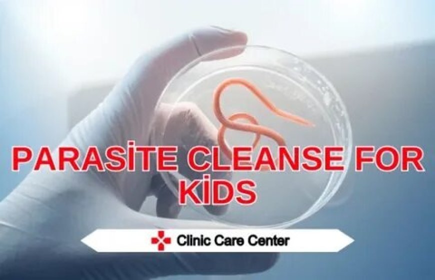 Top Mistakes in Parasite Cleanse Full Moon Process