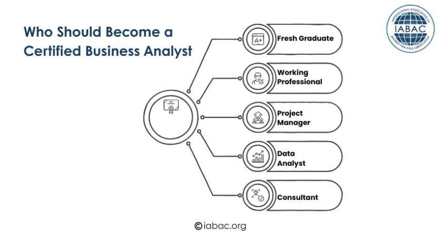 Who Should Become a  Certified Business Analyst