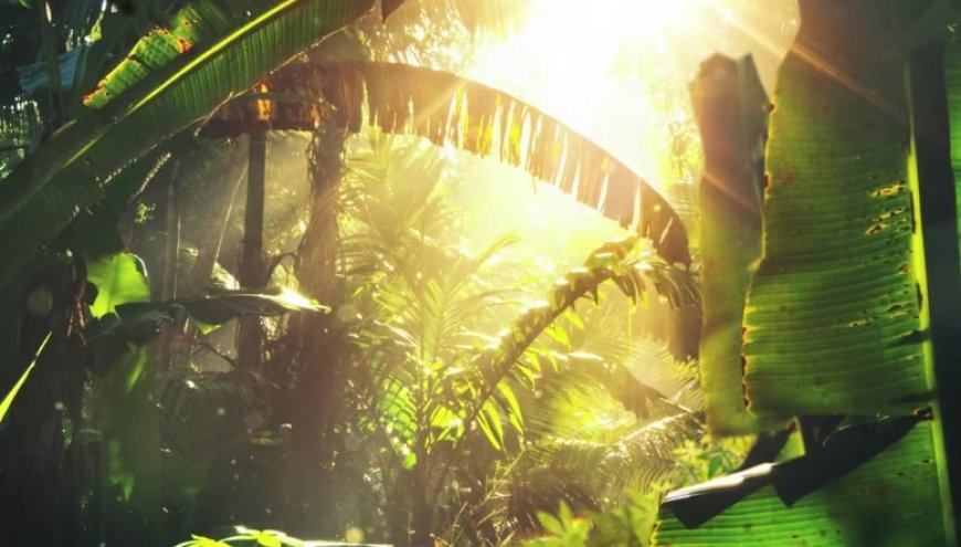 Bring Prehistoric Fun to Life: Dinosaur Rental for Parties