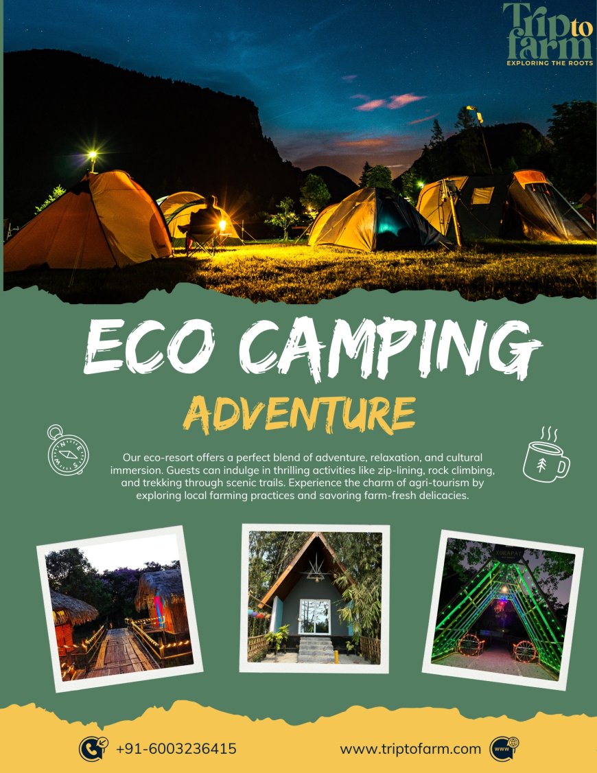 Eco Camping by Trip to farm (Sustainable Adventure Assam)
