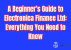 A Beginner’s Guide to Electronica Finance Ltd: Everything You Need to Know