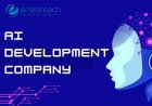 AI Development Company​