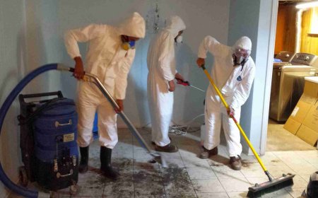 Top Signs You’re Hiring the Right Water Cleanup Company in Grayslake