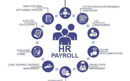 Why Your Business Needs Payroll and Human Resources Services
