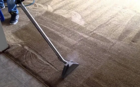 How to Remove Stains from Area Rugs Without Damaging Them