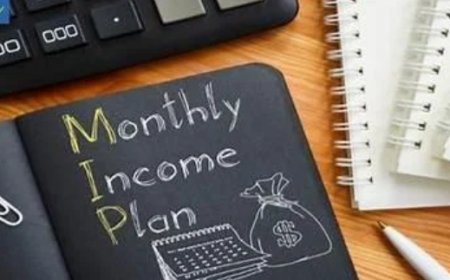 What Is the Best Monthly Income Plan for You in 2025?