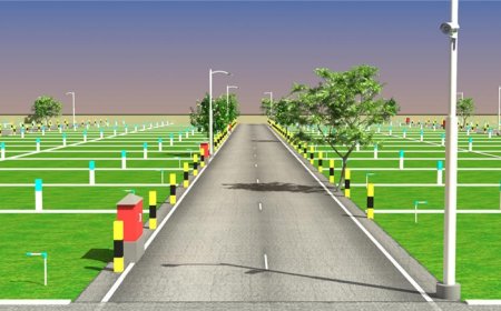 Ansal Versalia Plots