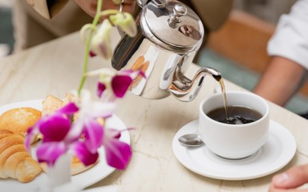 Hidden Gems: Best Resorts in Chail Near Shimla