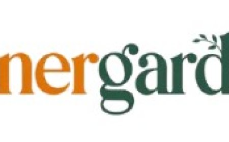 DIY Cornergarden Projects That Add Value to Your Property