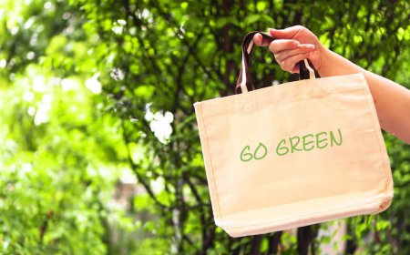 How Schools Can Benefit from Eco Friendly Products