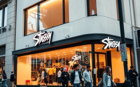 Latest Stussy Clothing Collection You Need to See