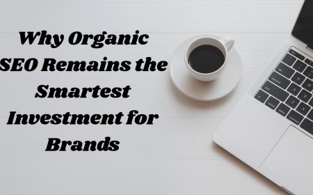 Why Organic SEO Remains the Smartest Investment for Brands