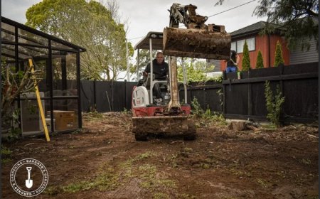 Landscaping Auckland NZ – Transform Your Outdoor Space with Gardners Gardening 🌿