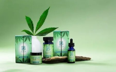 How Custom Printed Hemp Boxes Elevate Sustainable Packaging